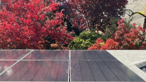 Close-up of premium black residential solar panels installed on an asphalt shingle roof with vibrant autumn trees in the background.