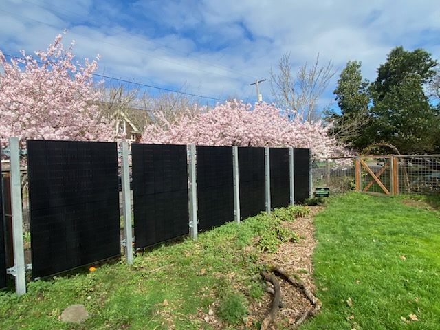 Vertical solar panels installed along a backyard fence with flowering trees in the background.